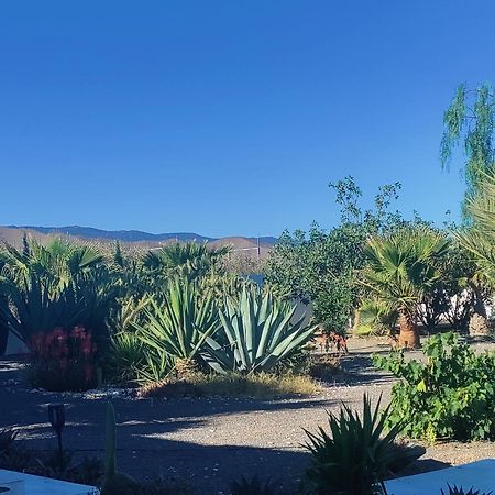 Cortijo Oro Verde B&B Tabernas Exteriör bild